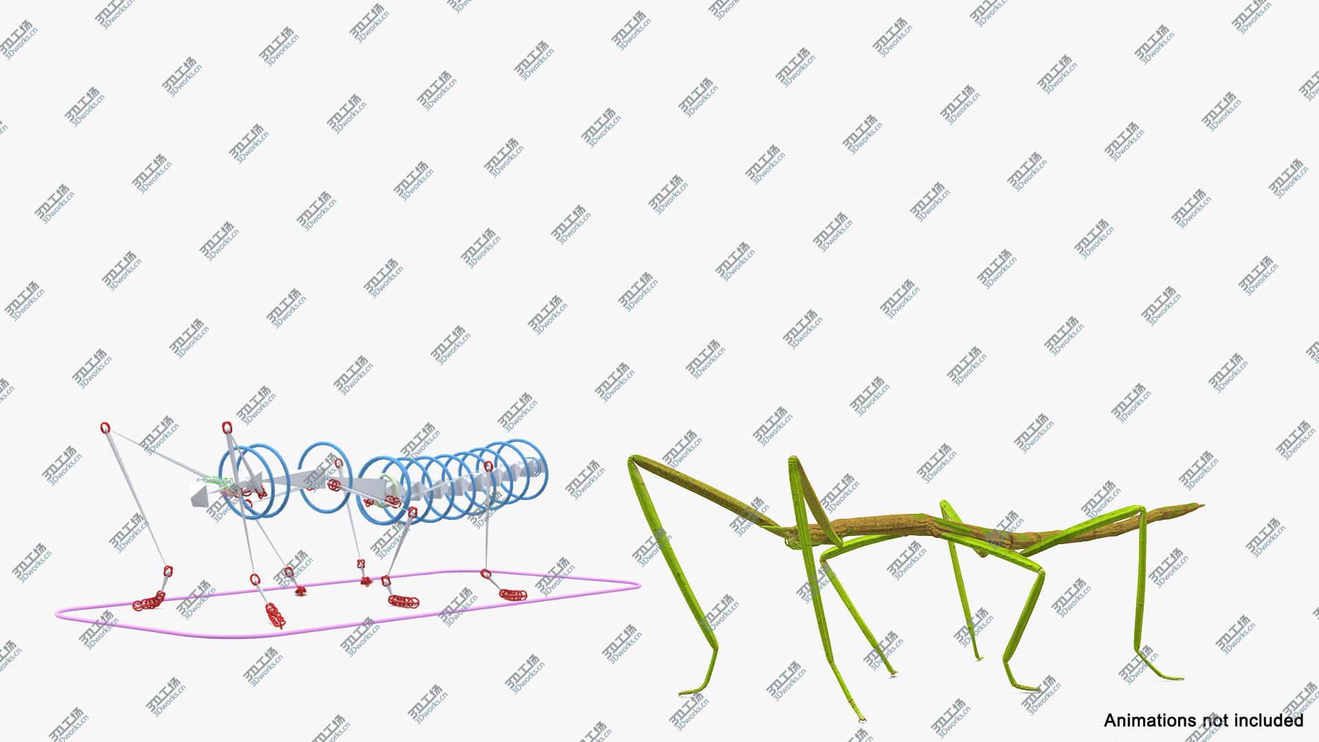 images/goods_img/202105071/Phasmatodea Stick Insect Rigged model/3.jpg